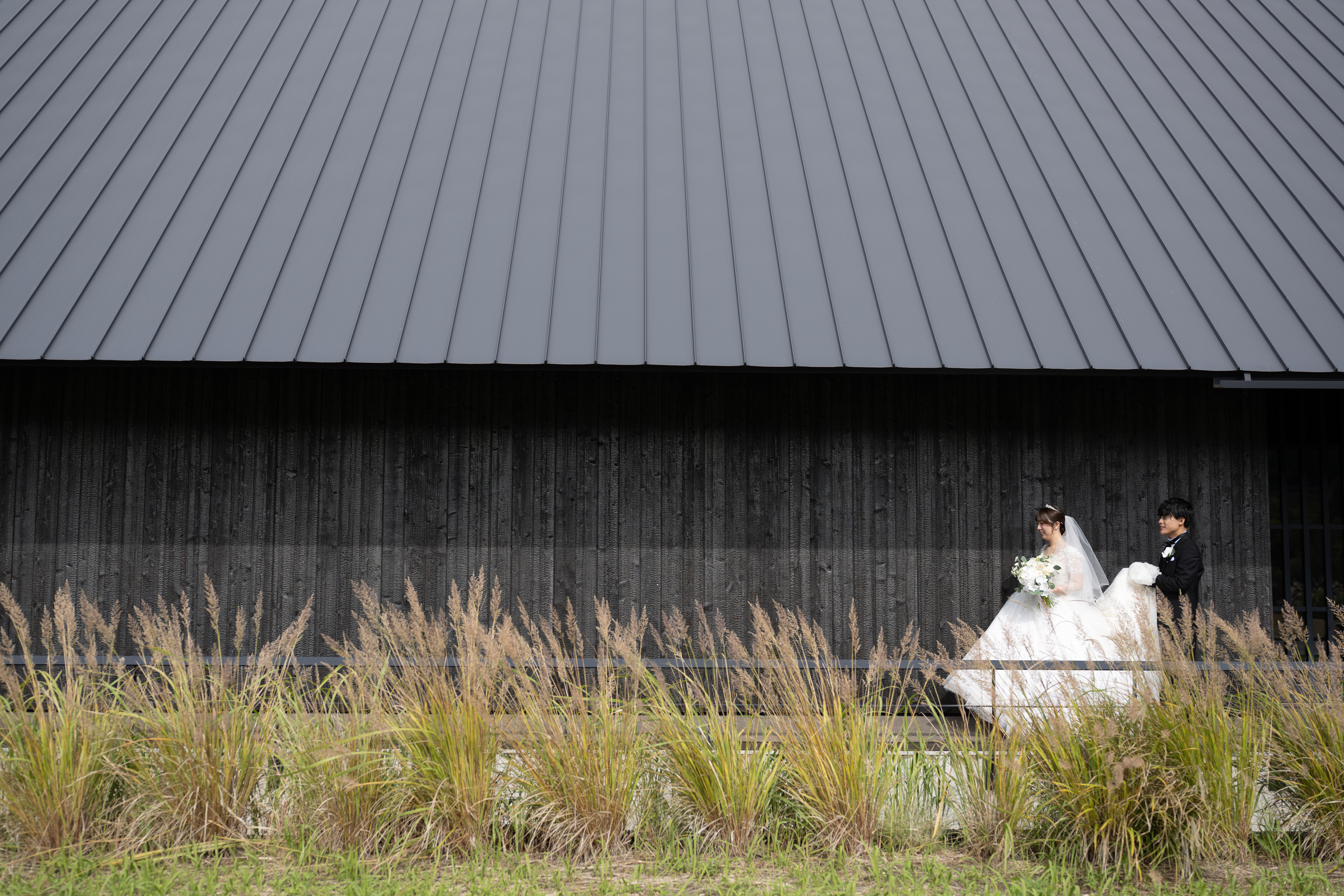 D��Wʡ���ESHIKOTO �뺧��