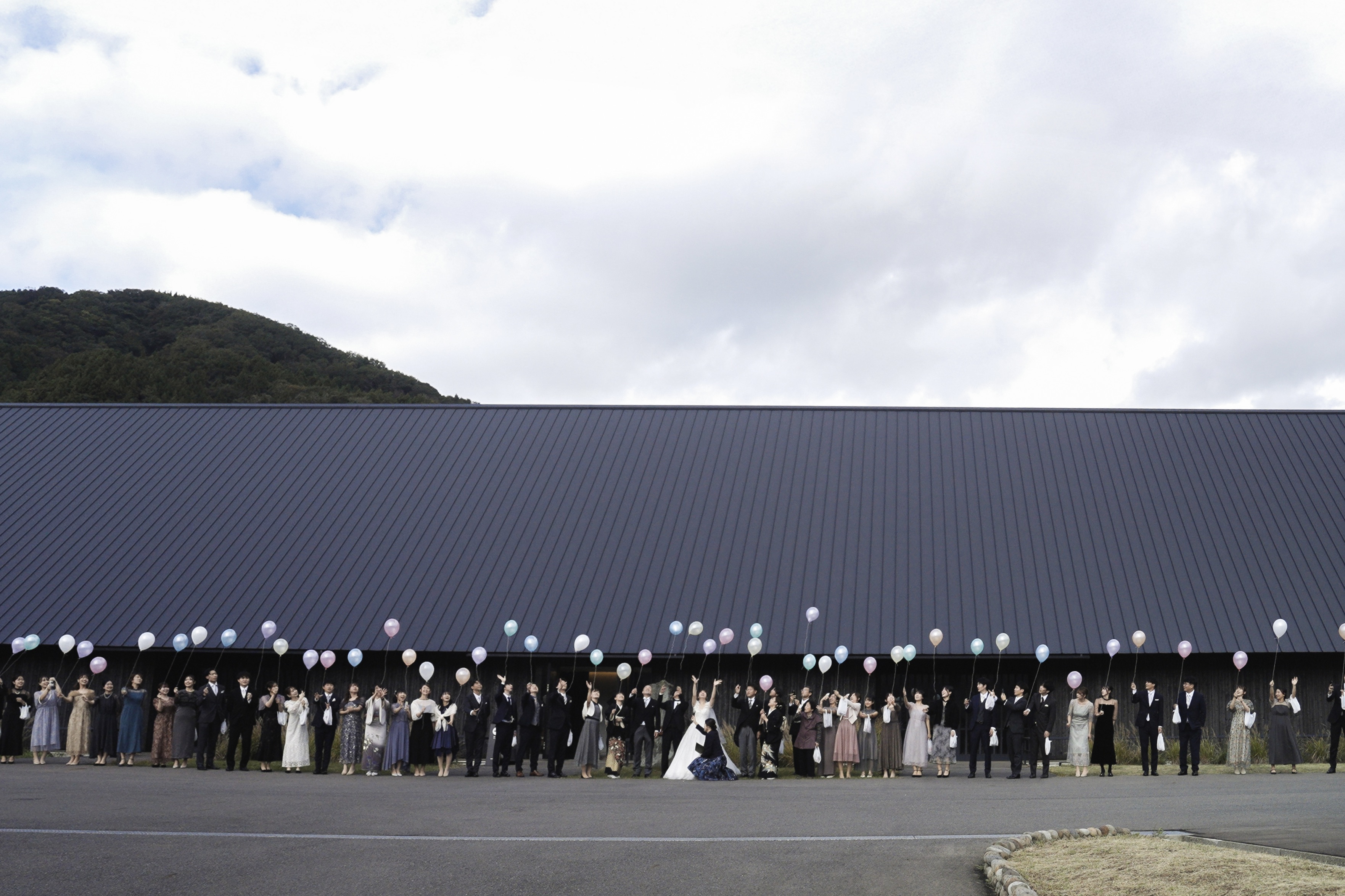 D��Wʡ��÷뺧����