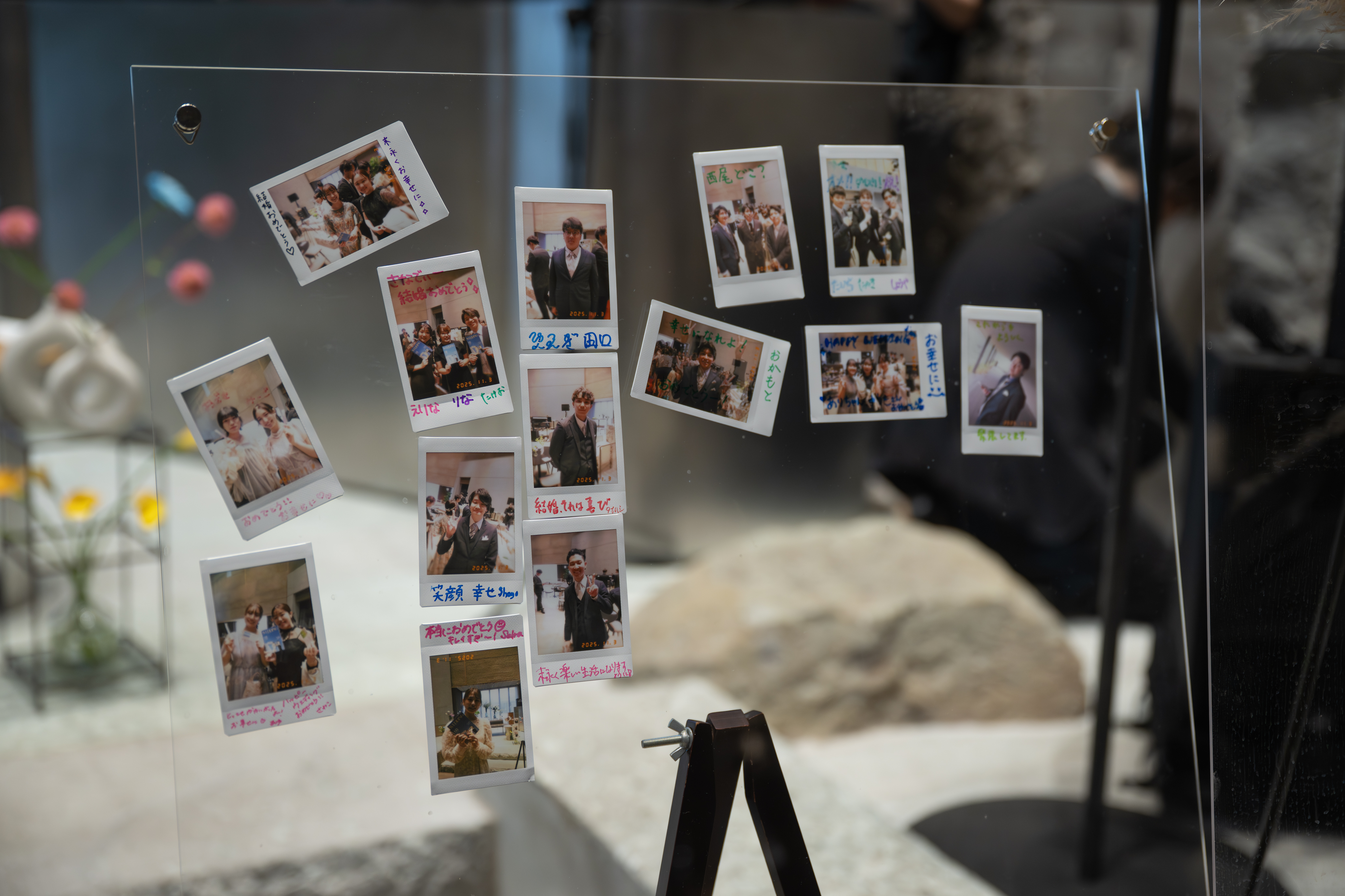 D��Wʡ��÷뺧�� �����ƥ�